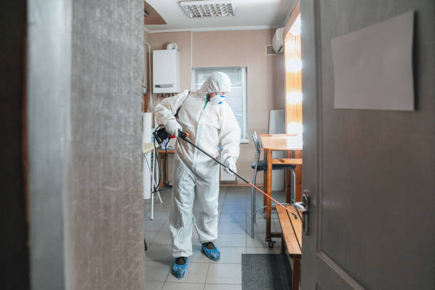 Best Mold Prevention Services  in Thorsby, AL