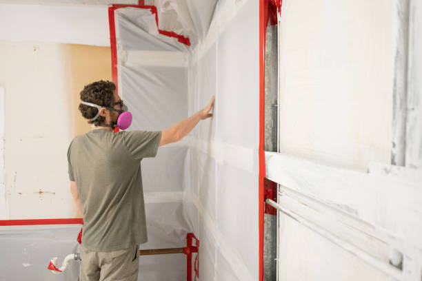 Best Mold Odor Removal Services  in Thorsby, AL