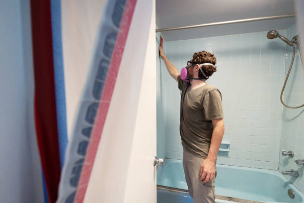 Best Industrial Mold Remediation  in Thorsby, AL