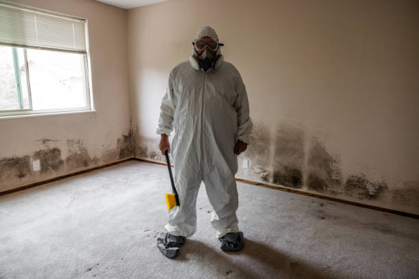 Best Air Quality Testing for Mold Spores  in Thorsby, AL